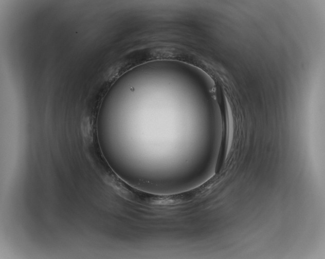 X0000112730759200908201326