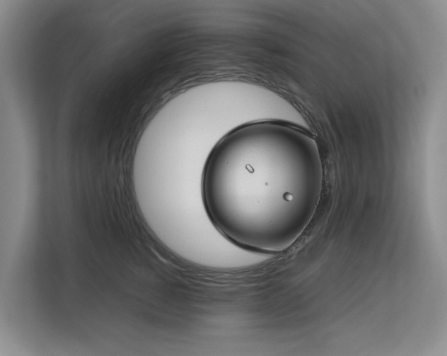 X0000112730760200908201326