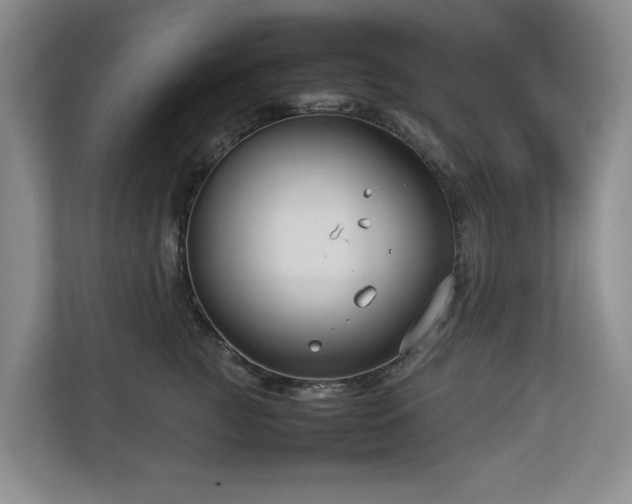 X0000112730761200908201326