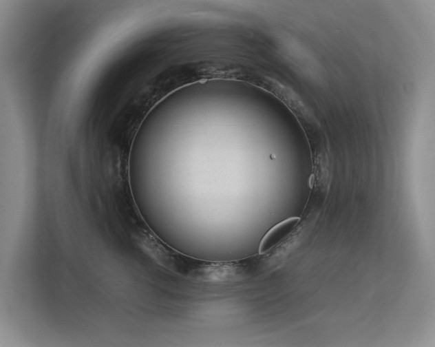 X0000112730762200908201326