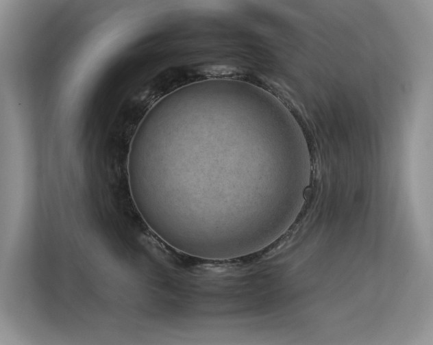 X0000112730763200908201326