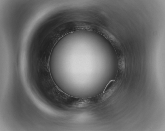 X0000112730764200908201326