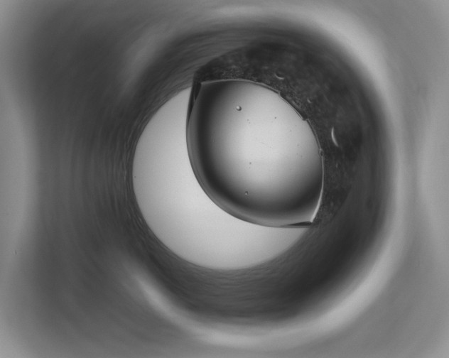 X0000112730766200908201326