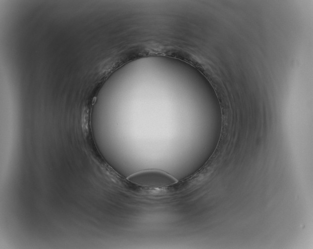 X0000112730768200908201326