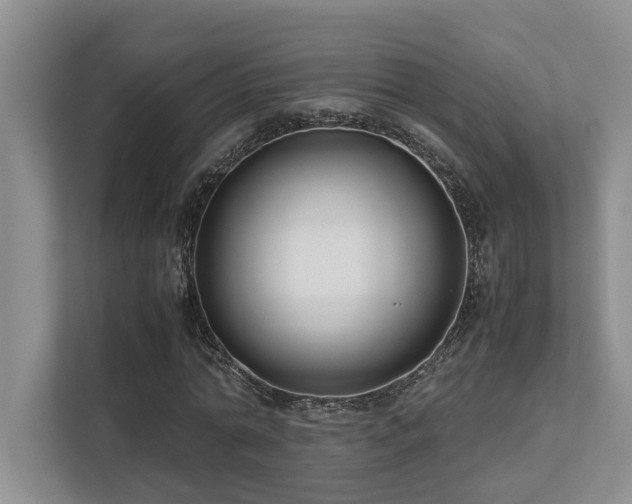 X0000112730774200908201325