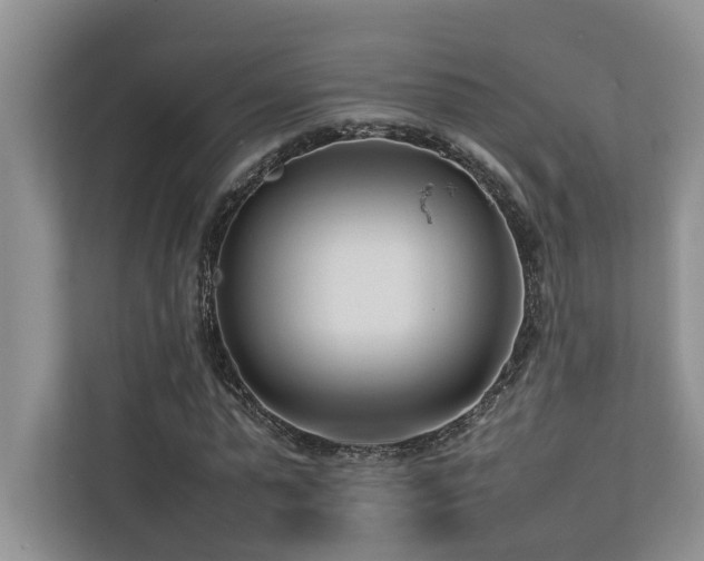 X0000112730775200908201325