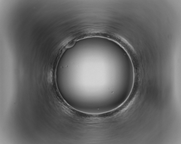 X0000112730777200908201325