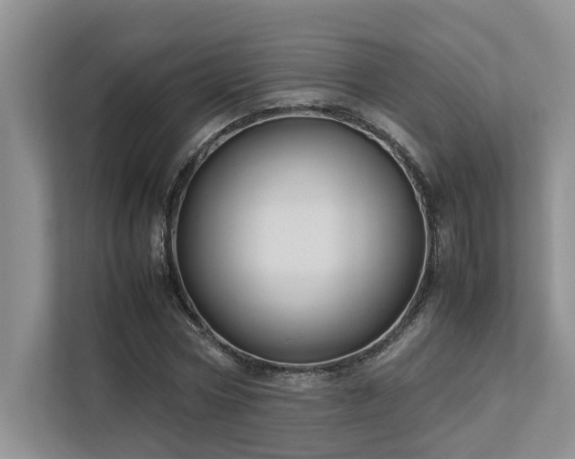 X0000112730778200908201325