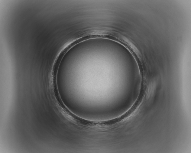 X0000112730779200908201325