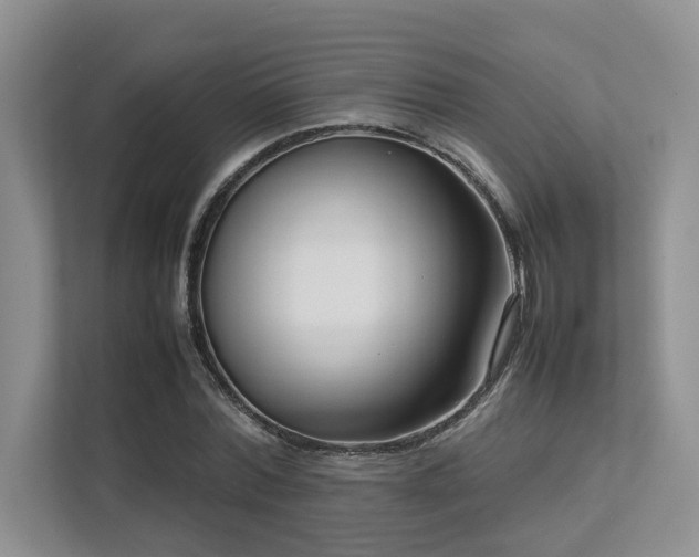 X0000112730780200908201325