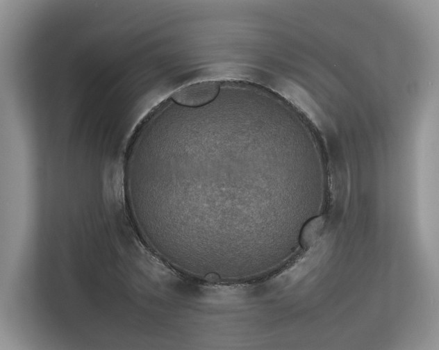 X0000112730781200908201325