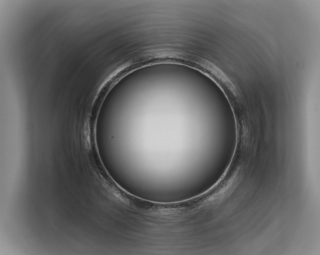 X0000112730782200908201325