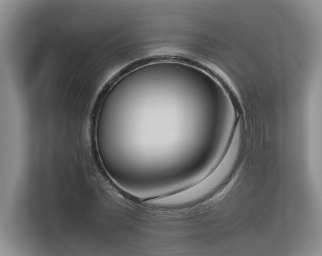 X0000112730783200908201325