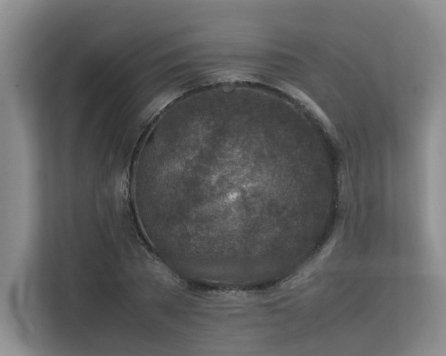 X0000112730785200908201325