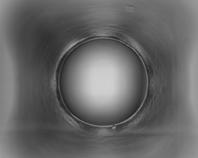 X0000112730787200908201325