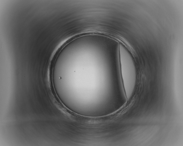 X0000112730788200908201325