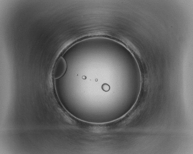 X0000112730789200908201325