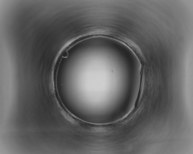 X0000112730792200908201325