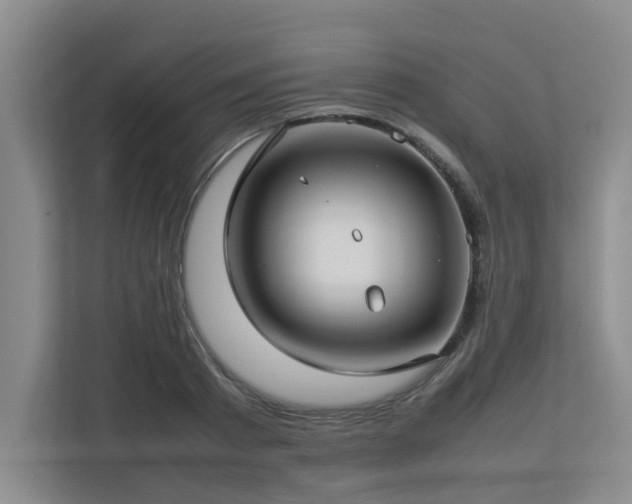 X0000112730793200908201325