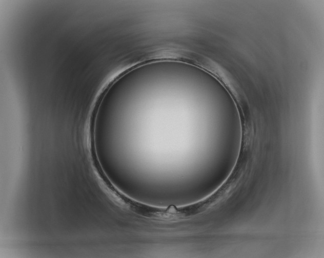 X0000112730795200908201325