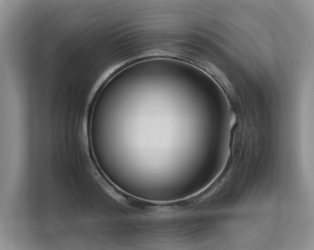 X0000112730796200908201325