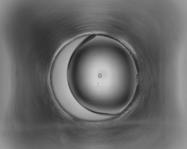 X0000112730797200908201325