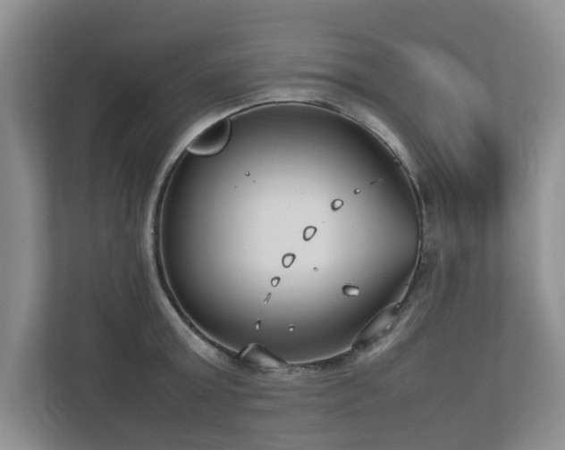 X0000112730803200908201325