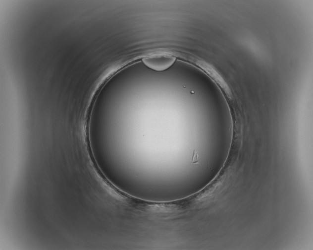 X0000112730805200908201325