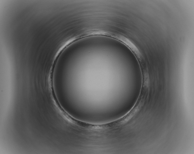 X0000112730806200908201325