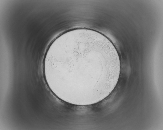 X0000112730807200908201325