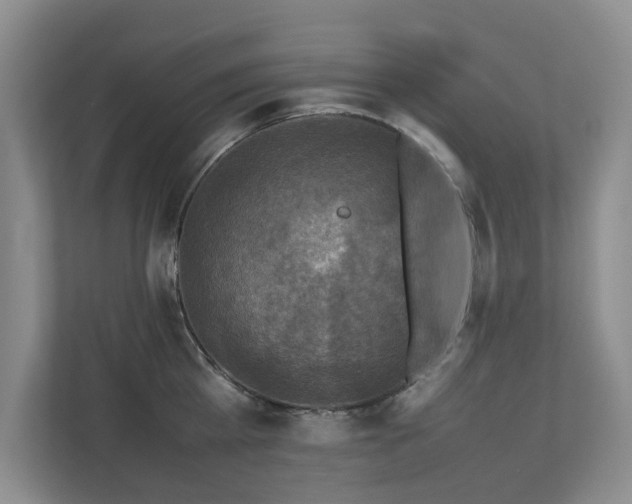 X0000112730809200908201324