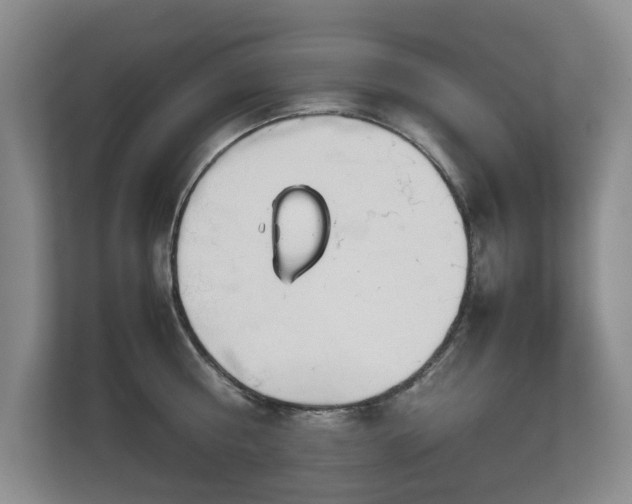 X0000112730810200908201324