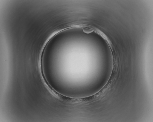 X0000112730811200908201324