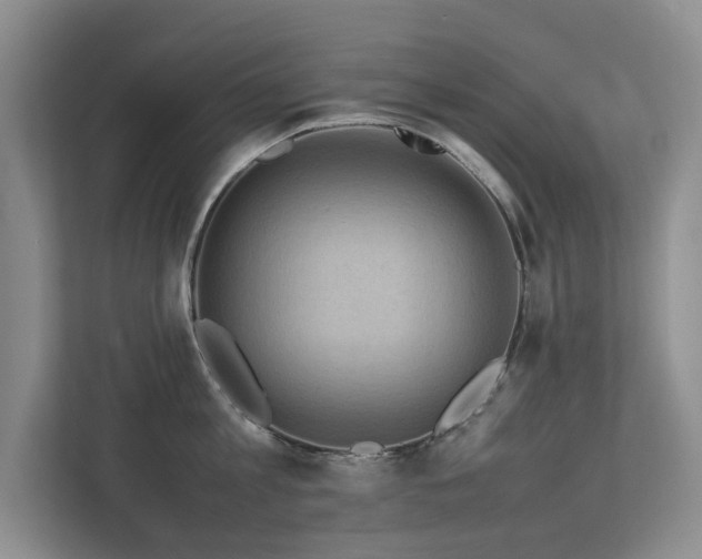 X0000112730813200908201324