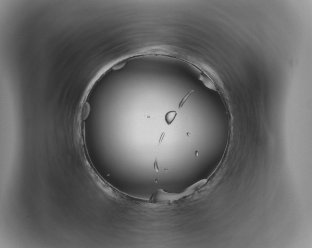 X0000112730816200908201324