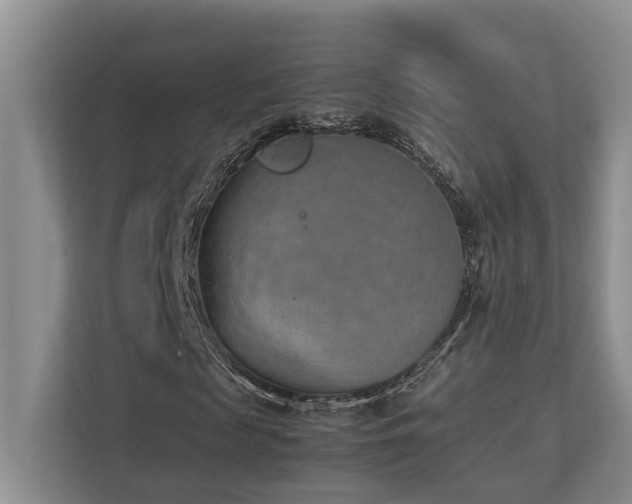 X0000112730817200908201324