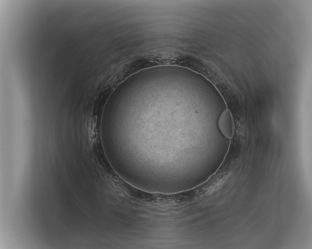 X0000112730818200908201324