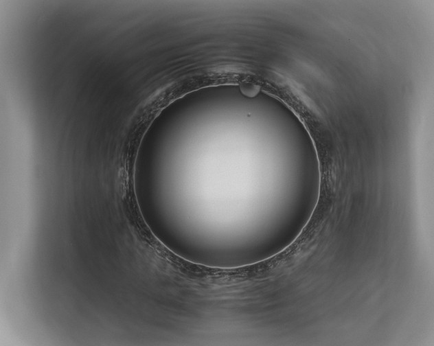 X0000112730821200908201324