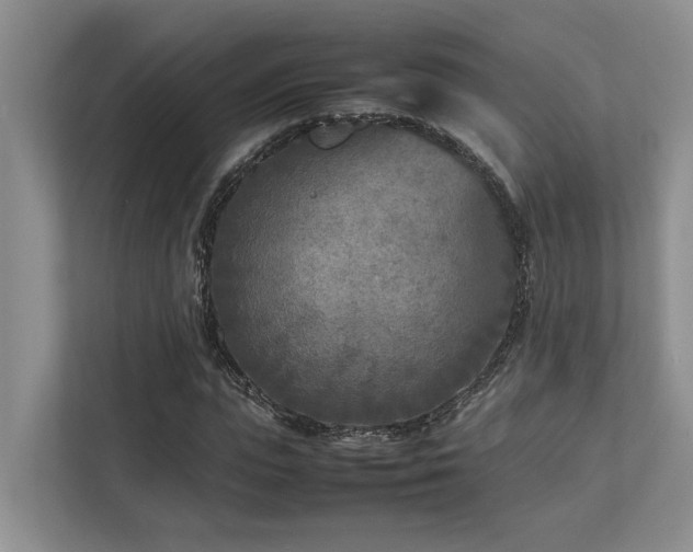 X0000112730823200908201324