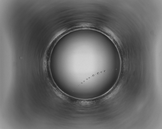 X0000112730827200908201324