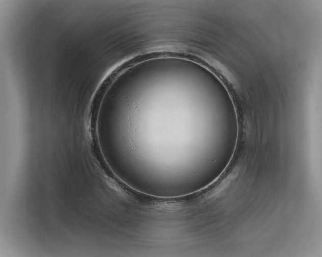 X0000112730830200908201324