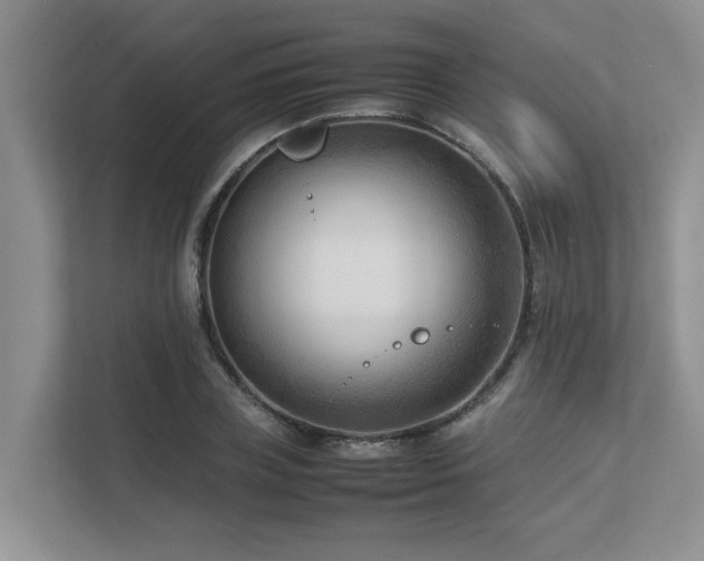 X0000112730835200908201324