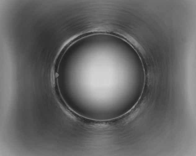 X0000112730838200908201324