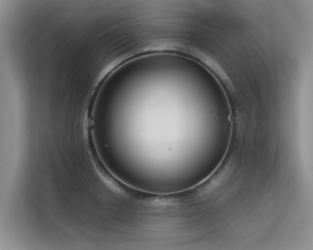 X0000112730842200908201324