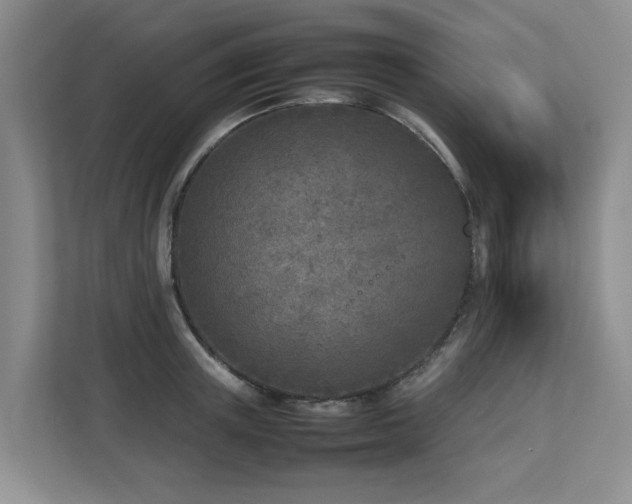 X0000112730851200908201324