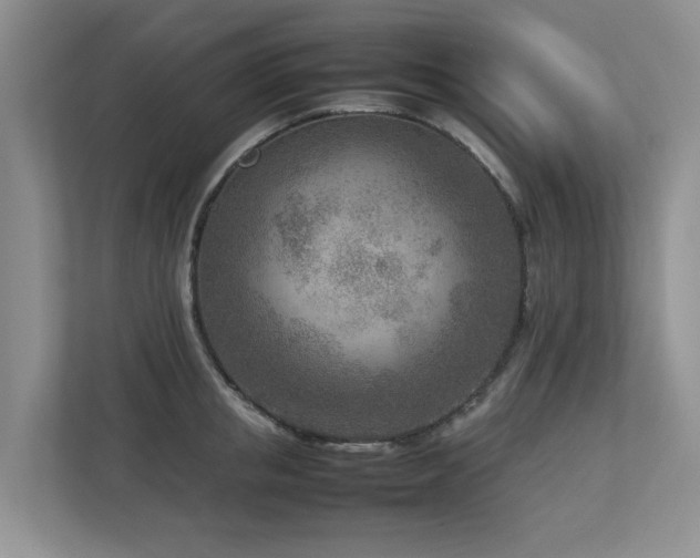 X0000112730853200908201324