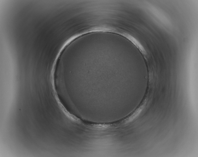 X0000112730854200908201324