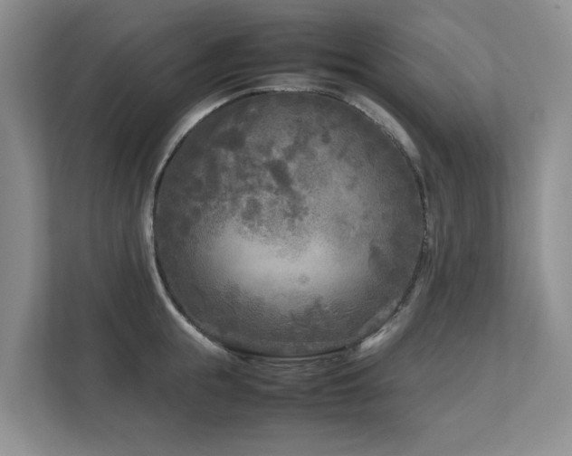 X0000112730855200908201324