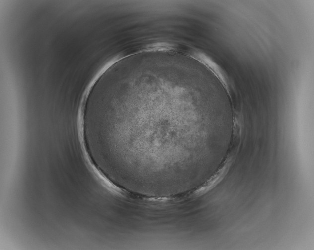 X0000112730859200908201324