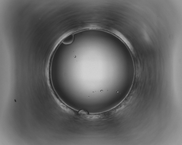 X0000112730861200908201324